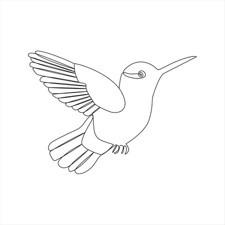 Continuous line drawing of hummingbird. Vector illustration isolated on white background.のイラスト素材