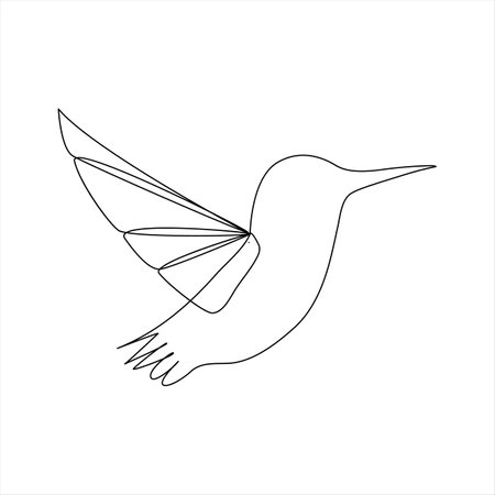 Continuous one line drawing of hummingbird. Vector illustration isolated on white background.のイラスト素材