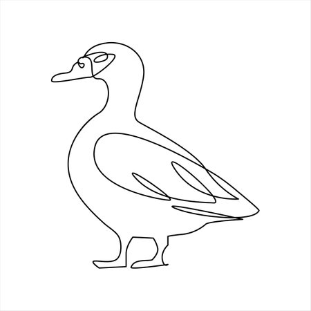 Continuous line drawing of duck on white background. Vector illustration.のイラスト素材