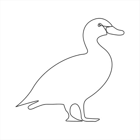 Continuous line drawing of a duck isolated on white background. Vector illustrationのイラスト素材
