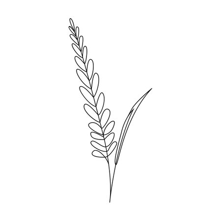 Spikelets of wheat icon in outline style on a white backgroundのイラスト素材