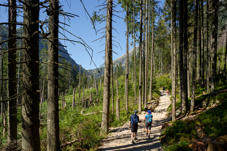 Zakopane, Poland - Aug 4, 2018: Hikers on a trail in the High Tatra near Zakopane, Poland.のeditorial素材