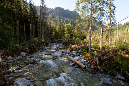 Beautiful stream in the High Tatra.