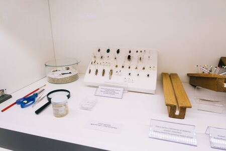 Bucharest, Romania - Dec 15, 2019: Exhibition in the âGrigore Antipaâ National Museum of Natural History in Bucharest, Romaniaのeditorial素材