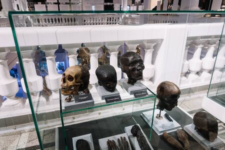 Bucharest, Romania - Dec 15, 2019: Exhibition in the â€œGrigore Antipaâ€ National Museum of...
