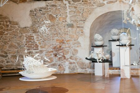 Brasov, Romania - Nov 10, 2019: An Art exhibition in the White Tower or Turnul Alb in Brasov. Group exhibition of Arina Ailincai, Andrei Florian, Gavril Zmicala artists .のeditorial素材