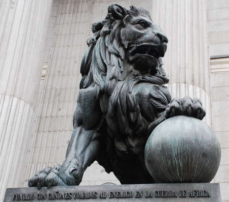 Lion King の写真素材