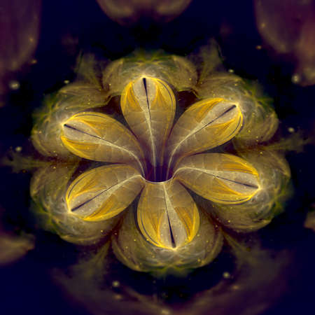 Colorful fractal flower pattern, digital artwork for creative の写真素材