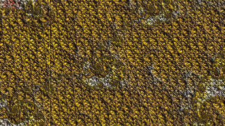 Fractal complex - Mandelbrot set detail, digital artwork for creative graphic designの写真素材