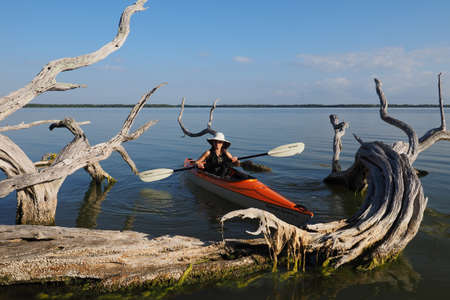 Everglades National Park, Florida 01-21-2017 Woman kayaks in early morning amidst the mangrove snags of West Lake.のeditorial素材