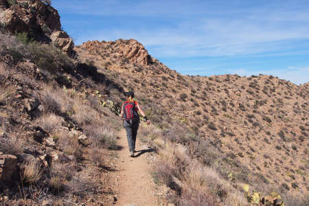 Woman hiking the King Canyon Trail in the Tucson Mountains area of Saguaro National Park, Arizona.