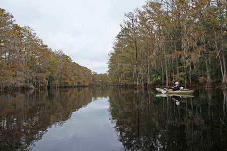 Fisheating Creek, Florida 11-18-2012 Active senior kayaks on Fisheating Creek on a tranquil autumn afternoon.のeditorial素材
