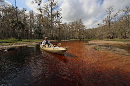 Fisheating Creek, Florida 01-13-2013 Active senior kayaks on the tannin-stained water of Fisheating Creek on a tranquil winter afternoon.のeditorial素材