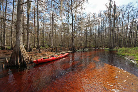 Fisheating Creek, Florida 01-13-2013 Red kayak on the banks of Fisheating Creek on a tranquil winter afternoon.のeditorial素材