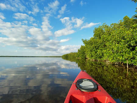 Red kayak on Coot Bay amidst mangroves and reflected clouds in Everglades National Park, Florida.の写真素材