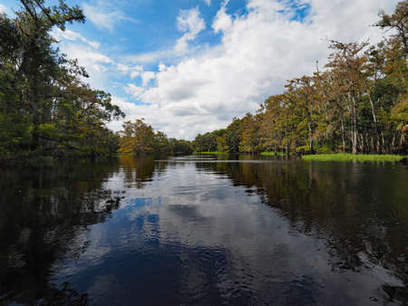 Wooded shores and clouds reflected on the still water of Fisheating Creek, Florida on autumn afternoon.の写真素材