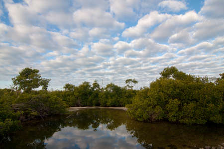 Early moning cloudscape over Ding Darling National Wildlife Refuge on Sanibel Island, Florida in...