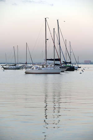 Key Biscayne, Florida - November 30, 2019: Sailboats at anchor in Crandon Marina anchorage on clear, calm winter day at sunrise.のeditorial素材