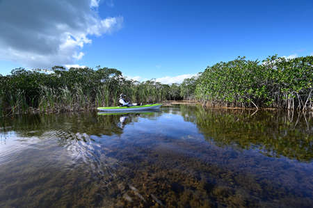 Active senior kayaking on Nine Mike Pond in Everglades National Park, Florida.の写真素材