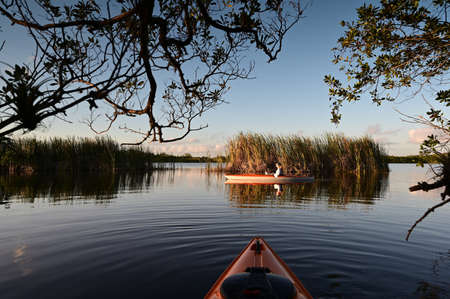 Woman kayaking on Nine Mile Pond in Everglades National Park, Florida.の写真素材
