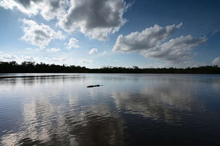 Nine Mile Pond afternoon cloudscape and reflections in Everglades National Park.