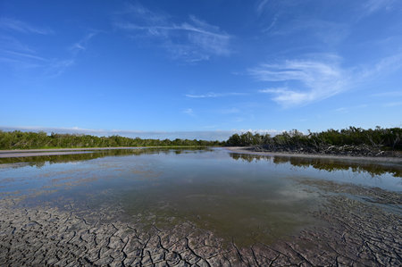 Eco Pond in Everglades National Park, Florida at low water exposing colorful shallows and dry...