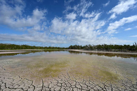 Eco Pond in Everglades National Park, Florida at low water exposing colorful shallows and dry...