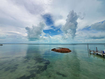 Discarded shells of queen conch - Strombus gigas - form small island in North Bimini, Bahamas.の写真素材