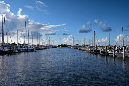 Bright suummer cloudscape reflected in tranquil water of Dinner Key Marina in Coconut Grove, Miami, Florida.の写真素材