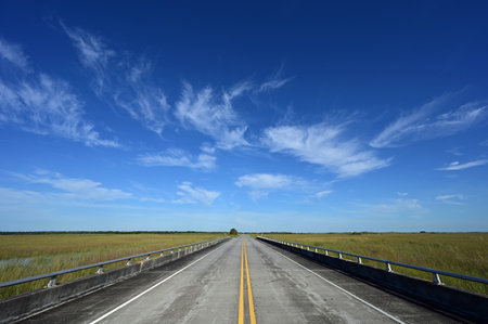Beautiful high altitude late summer cloudscape over Main Park Road in Everglades National Park, Florida.の写真素材