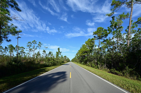 Beautiful high altitude late summer cloudscape over Main Park Road in Everglades National Park, Florida.の写真素材