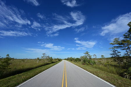 Beautiful high altitude late summer cloudscape over Main Park Road in Everglades National Park, Florida.の写真素材