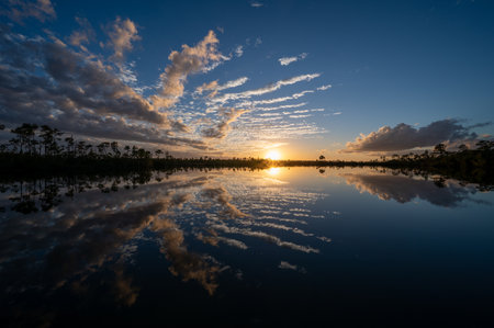 Colorful twilight cloudscape over and reflected in Pine Glades Lake in Everglades National Park, Florida..の写真素材