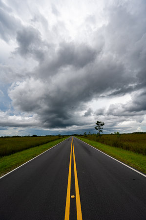 Main Everglades National Park road receding into distance under stormy summer cloudscape.