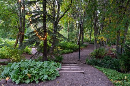 Akureyri Botanical Gardens, Iceland on cool autumn afternoon.