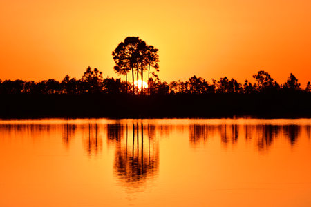 Bright orange sunset reflected in calm water of Pine Glades Lake in Everglades National Park, Florida.の写真素材