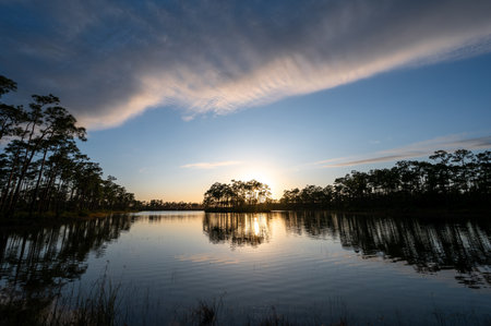 Tranquil sunset reflected in calm water of lake at Long Pine Key in Everglades National Park,...
