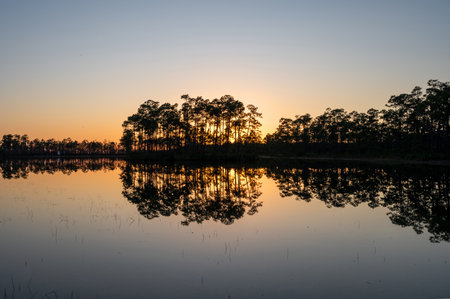 Tranquil sunset reflected in calm water of lake at Long Pine Key in Everglades National Park,...