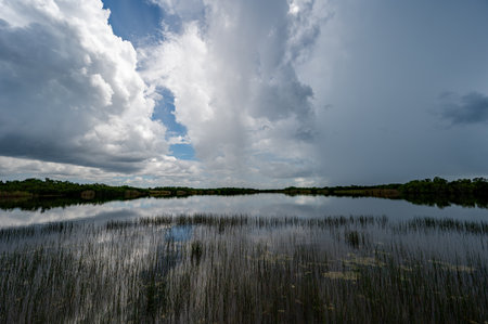 Summer storm clouds forming over pond in Everglades National Park, Florida, reflected in calm water.