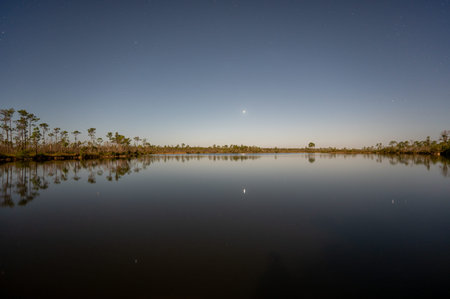 Pine Glades Lake in Everglades National Park, Florida brightly illuminated by light of full moon.の写真素材