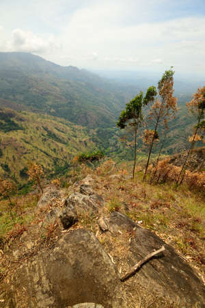 Panorama from Ella Rock, Sri Lanka