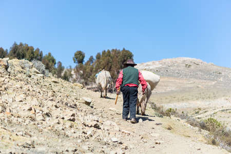 Hard rural life on the barren mountains of the Island of the Sun, Titicaca Lake, Bolivia. About 800 families live on the island. They speak Aymara and Quechua language.の写真素材