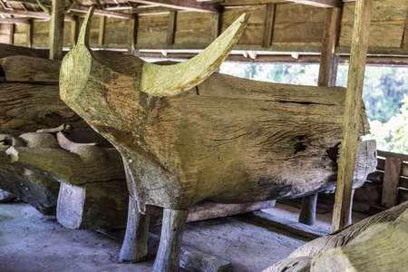 Buffalo horns decorate the facade of a rich family traditional house, Tana Toraja, South Sulawesi, Indonesia.の写真素材