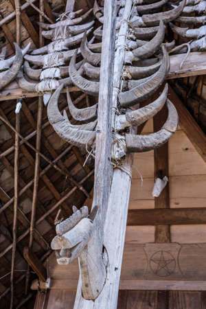 Buffalo horns decorate the facade of a rich family traditional house, Tana Toraja, South Sulawesi, Indonesia.の写真素材