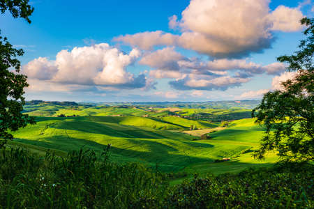 Unique green landscape in Volterra Valley, Tuscany, Italy. Scenic dramatic sky and sunset light over cultivated hill range and cereal crop fields. Tuscany, Italy.の写真素材