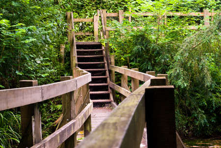 Wooden bridge on the Silent Pool. Albury, Surrey, England, UK. July 2008.の写真素材