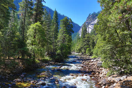 River flowing through Yosemite National Park, USAの写真素材