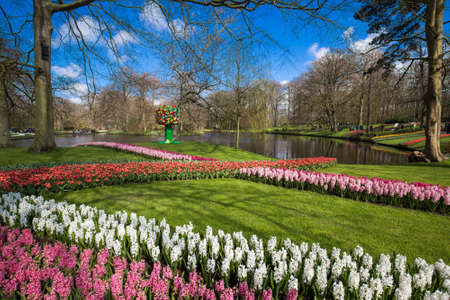 KEUKENHOF, NETHERLANDS, MAY 8, 2016: Colorful flowers and blossom in dutch spring garden Keukenhof which is the world's largest flower garden. Keukenhof Garden, Lisse, Netherlands - May 8, 2016のeditorial素材