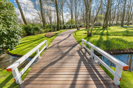 Bridge in the parkの写真素材
