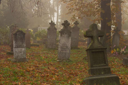 Aged gravestonesの写真素材